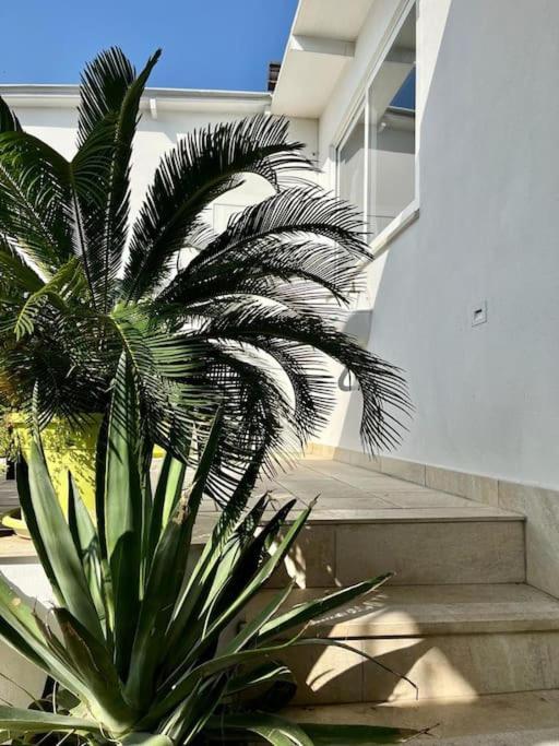 Naples In The History 4M Bed & Breakfast Dış mekan fotoğraf